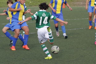 DB电竞官网登录-世界网球队爆冷英国网球队，西西帕斯绝境逆转