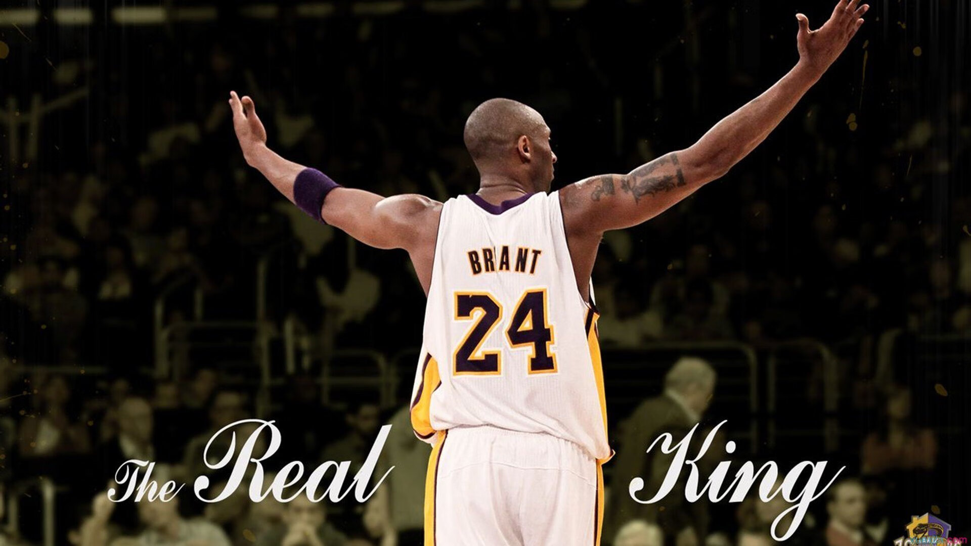 温网力克ATP总决赛，鲁德状态火热，新生代网坛格局悄然生变